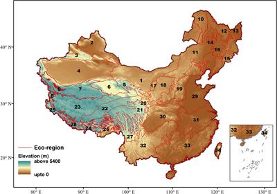 Contrasting Gymnosperm Diversity Across an Elevation Gradient in the Ecoregion of China: The Role of Temperature and Productivity